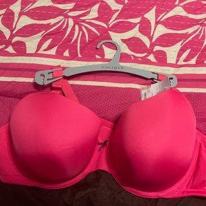 Cacique Intimates - cotton T-shirt bra.